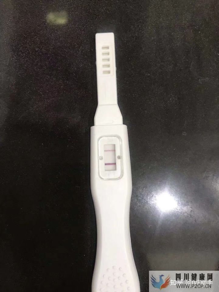 我的试管经历,一次就成功了(后附个人试管经验总结)(图2) 我的试管经历,一次就成功了(后附个人试管经验总结)(图2)