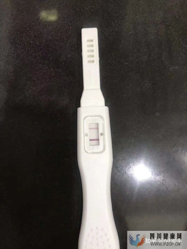 我的试管经历,一次就成功了(后附个人试管经验总结)(图1) 我的试管经历,一次就成功了(后附个人试管经验总结)(图1)