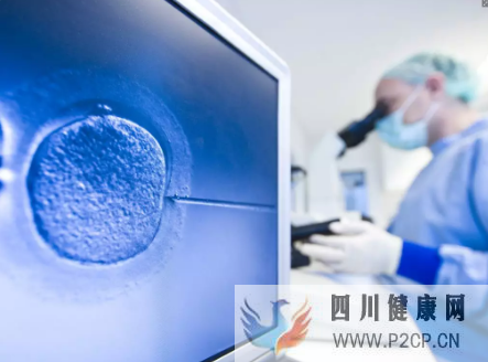 第三代试管成功率和哪些因素有关(图2) 第三代试管成功率和哪些因素有关(图2)