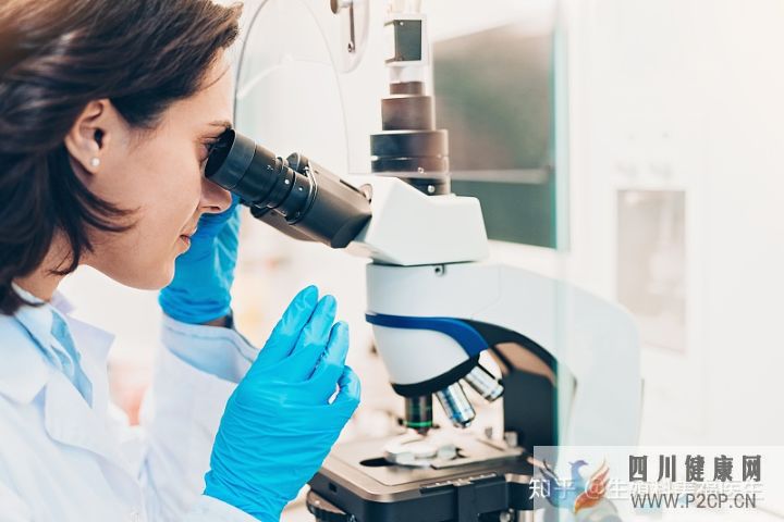 亲身总结试管婴儿成功5的大经验,建议收藏!(图6) 亲身总结试管婴儿成功5的大经验,建议收藏!(图6)