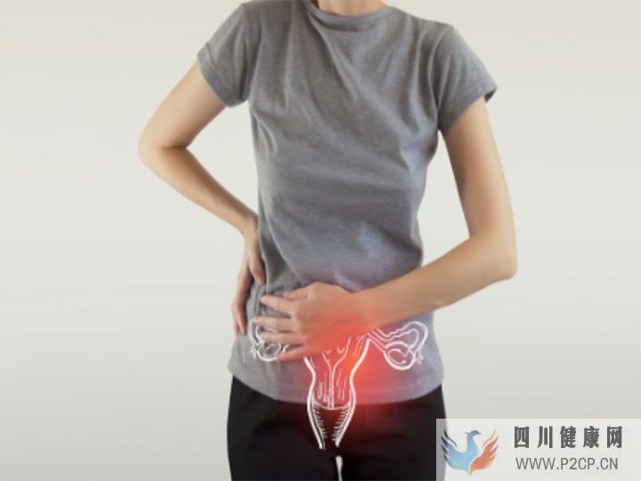 妇科和产科有什么区别(图2) 妇科和产科有什么区别(图2)