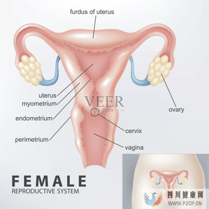 女性妇科那些事儿(10个妇科问题)(图1) 女性妇科那些事儿(10个妇科问题)(图1)