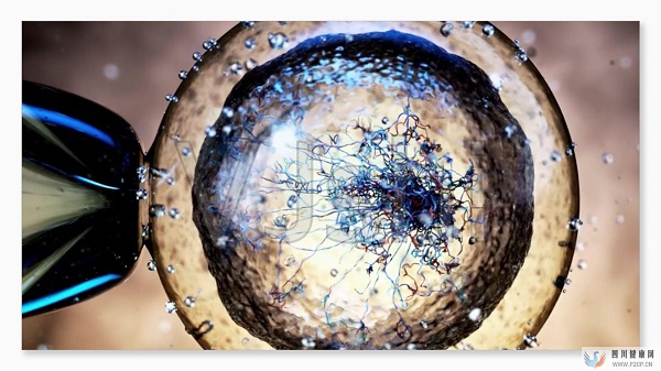 试管婴儿费用大约多少2022年——最全面的费用详解(图2)