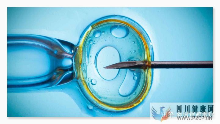 试管婴儿费用大约多少2022年——最全面的费用详解(图1)