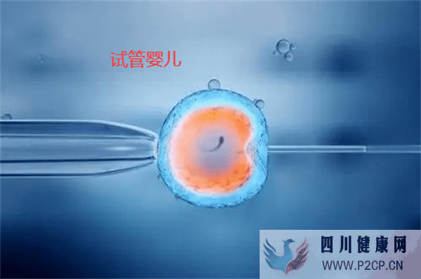 做试管婴儿前需要备孕吗(2022年国家免费做试管婴儿)(图1) 做试管婴儿前需要备孕吗(2022年国家免费做试管婴儿)(图1)