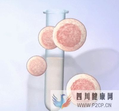 辅助生殖纳入医保啦(2022年试管婴儿费用医保可以报销吗)(图2) 辅助生殖纳入医保啦(2022年试管婴儿费用医保可以报销吗)(图2)