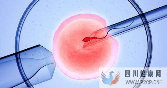 38岁的大龄试管一次成功经验分享(38岁做试管婴儿成功率有多少)(图2) 38岁的大龄试管一次成功经验分享(38岁做试管婴儿成功率有多少)(图2)