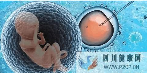 泰国试管婴儿费用第二代和第三代的相差多少(第二代试管婴儿怎么做的全过程)(图2) 泰国试管婴儿费用第二代和第三代的相差多少(第二代试管婴儿怎么做的全过程)(图2)