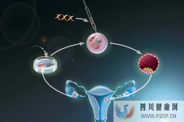 高龄女性做美国试管婴儿累计周期的目的是什么？(美国做试管婴儿的全部费用大概是多少)(图2)