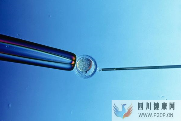 去美国做试管婴儿生双胞胎的概率(美国做试管婴儿的全部费用大概是多少)(图2) 去美国做试管婴儿生双胞胎的概率(美国做试管婴儿的全部费用大概是多少)(图2)