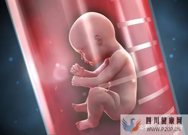 输卵管不孕做试管婴儿手术过程中,常见的六个问题(女方输卵管堵塞做试管婴儿需要多长时间)(图5) 输卵管不孕做试管婴儿手术过程中,常见的六个问题(女方输卵管堵塞做试管婴儿需要多长时间)(图5)