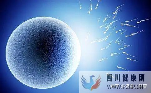 输卵管不孕做试管婴儿手术过程中,常见的六个问题(女方输卵管堵塞做试管婴儿需要多长时间)(图3) 输卵管不孕做试管婴儿手术过程中,常见的六个问题(女方输卵管堵塞做试管婴儿需要多长时间)(图3)