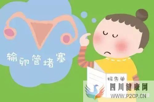 输卵管不孕做试管婴儿手术过程中,常见的六个问题(女方输卵管堵塞做试管婴儿需要多长时间)(图4) 输卵管不孕做试管婴儿手术过程中,常见的六个问题(女方输卵管堵塞做试管婴儿需要多长时间)(图4)