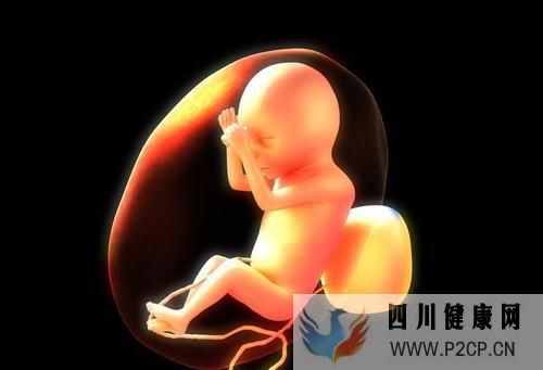 滔滔顾问:女性雌二醇低可以做试管婴儿吗有什么影响(请问做试管婴儿的费用可以报销吗)(图1) 滔滔顾问:女性雌二醇低可以做试管婴儿吗有什么影响(请问做试管婴儿的费用可以报销吗)(图1)