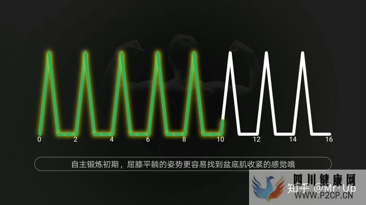 男性PC肌锻炼,凯格尔运动男性版详解(图7) 男性PC肌锻炼,凯格尔运动男性版详解(图7)