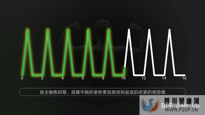 男性PC肌锻炼,凯格尔运动男性版详解(图6) 男性PC肌锻炼,凯格尔运动男性版详解(图6)