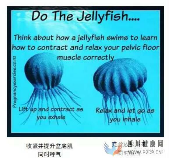 男性PC肌锻炼,凯格尔运动男性版详解(图10) 男性PC肌锻炼,凯格尔运动男性版详解(图10)