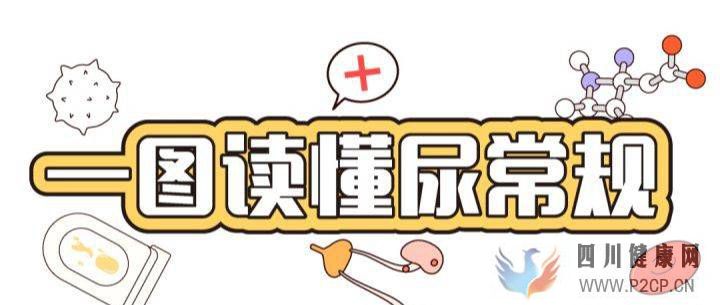 易加医带你涨知识:尿常规结果居然能看出这么多问题!(图1) 易加医带你涨知识:尿常规结果居然能看出这么多问题!(图1)