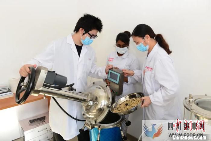 “针灸推拿+中医内科”中国传统医学毛里求斯受热捧(图1) “针灸推拿+中医内科”中国传统医学毛里求斯受热捧(图1)