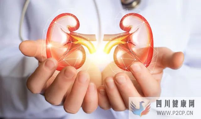 糖尿病肾病的治疗方法(图1) 糖尿病肾病的治疗方法(图1)