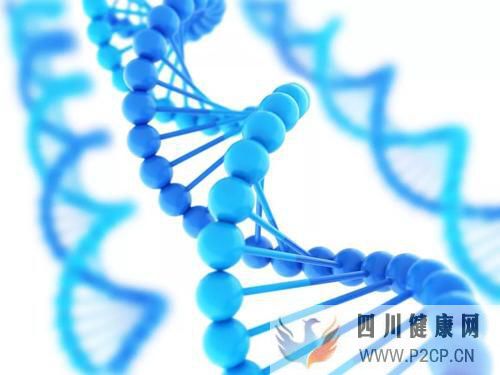 前沿:干细胞移植四种作用机制,为治疗2型糖尿病带来新途径(干细胞的治疗作用)(图2) 前沿:干细胞移植四种作用机制,为治疗2型糖尿病带来新途径(干细胞的治疗作用)(图2)