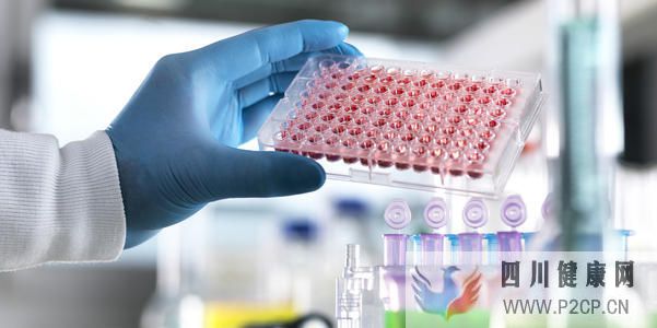 快讯:干细胞移植两大作用机制,为治疗2型糖尿病带来新途径(干细胞的治疗作用)(图1) 快讯:干细胞移植两大作用机制,为治疗2型糖尿病带来新途径(干细胞的治疗作用)(图1)