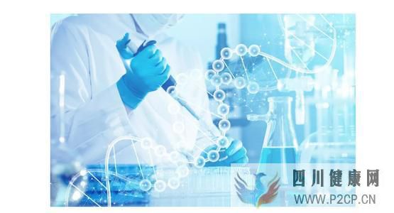 干细胞移植三大作用机制,为治疗肝硬化带来新希望(干细胞的治疗作用)(图1) 干细胞移植三大作用机制,为治疗肝硬化带来新希望(干细胞的治疗作用)(图1)