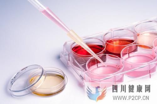 干细胞移植三大作用机制,治疗肝硬化前景广阔!(干细胞的治疗作用)(图1) 干细胞移植三大作用机制,治疗肝硬化前景广阔!(干细胞的治疗作用)(图1)