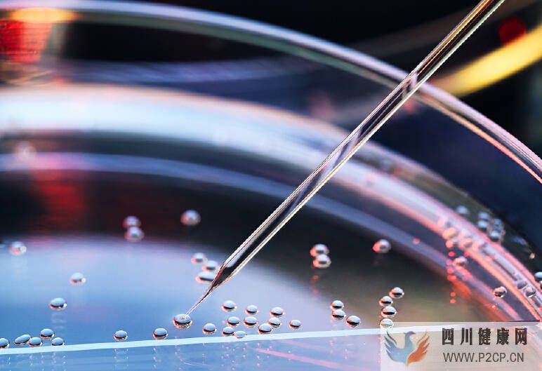 干细胞对什么病症有治疗作用?(干细胞的治疗作用)(图1) 干细胞对什么病症有治疗作用?(干细胞的治疗作用)(图1)