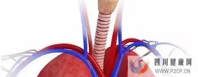 【健康科普】干细胞的治疗作用!(干细胞的治疗作用)(图1) 【健康科普】干细胞的治疗作用!(干细胞的治疗作用)(图1)