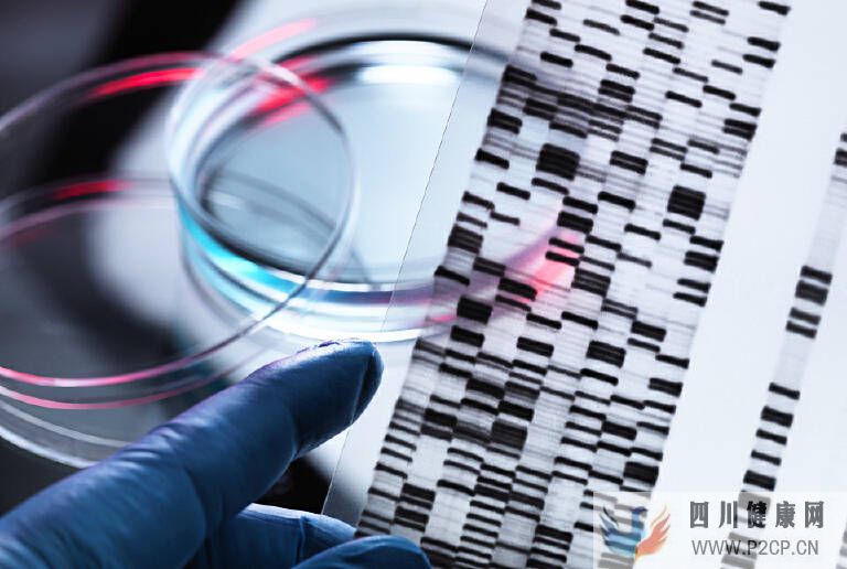 干细胞的主要功效和副作用?(干细胞的主要功能和作用)(图1) 干细胞的主要功效和副作用?(干细胞的主要功能和作用)(图1)