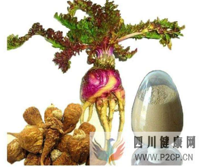 玛卡的功效和作用,长期吃玛卡对身体有什么副作用?(干细胞的主要功效和副作用)(图2) 玛卡的功效和作用,长期吃玛卡对身体有什么副作用?(干细胞的主要功效和副作用)(图2)