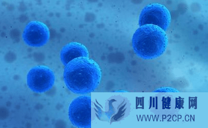 美容干细胞有副作用吗(干细胞的主要功效和副作用)(图1) 美容干细胞有副作用吗(干细胞的主要功效和副作用)(图1)