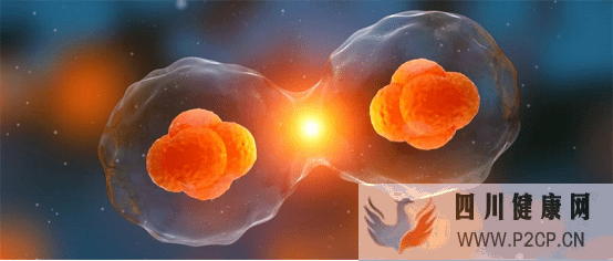 惊:美容院做干细胞有效果吗?美容院打的干细胞的副作用?后果不可预料~(干细胞的主要功效和副作用)(图1) 惊:美容院做干细胞有效果吗?美容院打的干细胞的副作用?后果不可预料~(干细胞的主要功效和副作用)(图1)