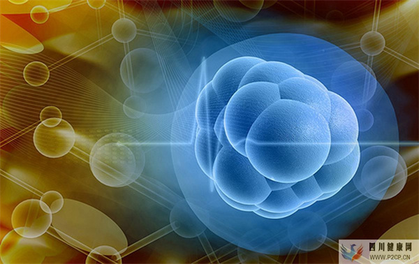 罗子鸣:什么是干细胞疗法?干细胞疗法的3个利与弊(干细胞的指的是什么)(图1) 罗子鸣:什么是干细胞疗法?干细胞疗法的3个利与弊(干细胞的指的是什么)(图1)