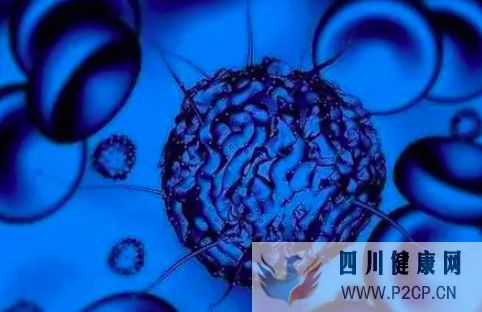 什么是干细胞这里全面解释(干细胞的指的是什么)(图3) 什么是干细胞这里全面解释(干细胞的指的是什么)(图3)