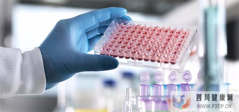 刨根问底:静脉回输干细胞、间充质干细胞回输后注意事项~(干细胞的作用与功效和注意事项)(图1) 刨根问底:静脉回输干细胞、间充质干细胞回输后注意事项~(干细胞的作用与功效和注意事项)(图1)