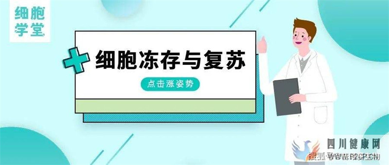 细胞学堂细胞冻存与复苏的技术原理和操作步骤(干细胞冻存价格)(图1) 细胞学堂细胞冻存与复苏的技术原理和操作步骤(干细胞冻存价格)(图1)