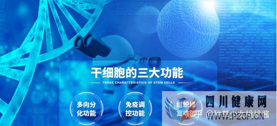 权威解析打干细胞美容的好处和坏处、打了干细胞脸...(干细胞对面部的重要作用)(图2) 权威解析打干细胞美容的好处和坏处、打了干细胞脸...(干细胞对面部的重要作用)(图2)
