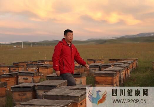 冬天女人喝什么蜂蜜好女人喝蜂蜜水的好处和坏处(干细胞对人体的好处和坏处)(图3) 冬天女人喝什么蜂蜜好女人喝蜂蜜水的好处和坏处(干细胞对人体的好处和坏处)(图3)