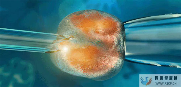 奥凯生物回输干细胞有哪些好处和坏处?(干细胞对人体的好处和坏处)(图1) 奥凯生物回输干细胞有哪些好处和坏处?(干细胞对人体的好处和坏处)(图1)