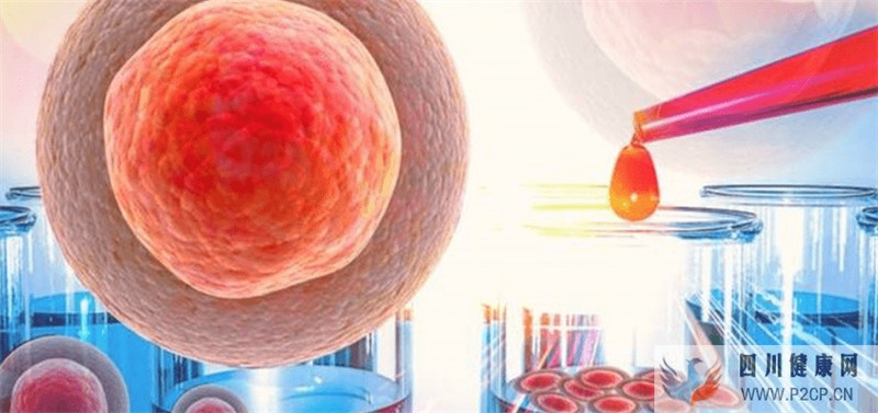 大揭秘:干细胞可用于面部抗衰吗?干细胞脸部注射安全吗?好好看看!(干细胞对面部的重要作用)(图1) 大揭秘:干细胞可用于面部抗衰吗?干细胞脸部注射安全吗?好好看看!(干细胞对面部的重要作用)(图1)