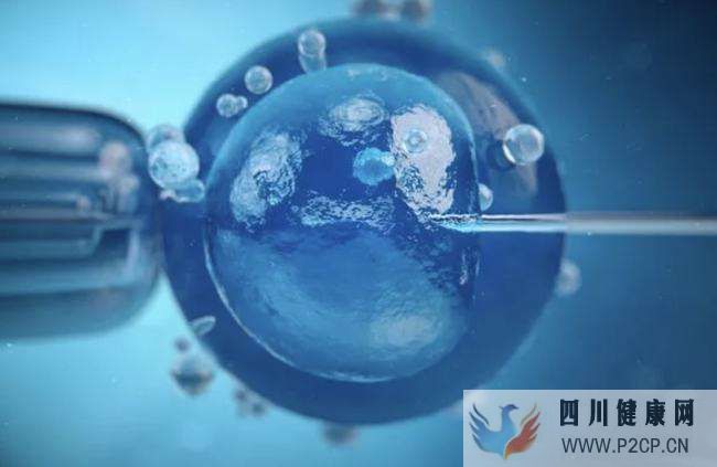 面部干细胞有什么神奇效果(干细胞对面部的重要作用)(图1)