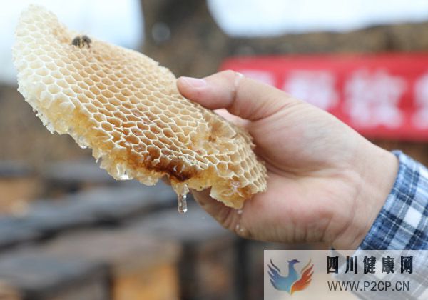 吃蜂巢的好处和坏处吃蜂巢对人体有什么好处(干细胞对人体的好处和坏处)(图3) 吃蜂巢的好处和坏处吃蜂巢对人体有什么好处(干细胞对人体的好处和坏处)(图3)