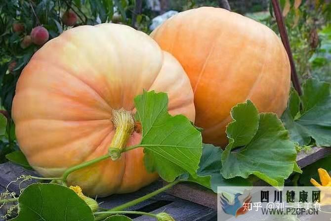 六种健康美食让你越吃越健康,强力推荐(图5) 六种健康美食让你越吃越健康,强力推荐(图5)