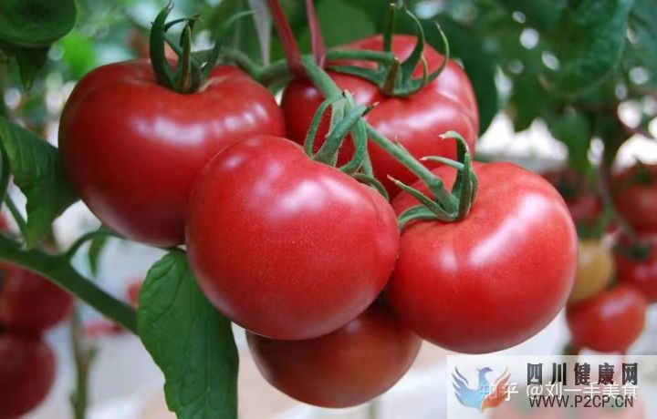 六种健康美食让你越吃越健康,强力推荐(图10) 六种健康美食让你越吃越健康,强力推荐(图10)