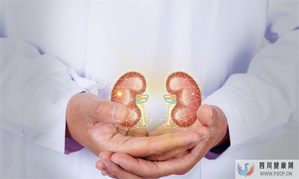 关于糖尿病肾病你知道多少呢?(图1) 关于糖尿病肾病你知道多少呢?(图1)