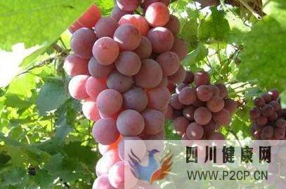 壹健康生活:糖尿病不能吃什么水果,吃什么食物调理好(图1) 壹健康生活:糖尿病不能吃什么水果,吃什么食物调理好(图1)