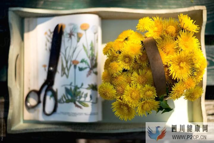 英文名灵感来这里找!多彩颜色及其他美好含义(图1) 英文名灵感来这里找!多彩颜色及其他美好含义(图1)