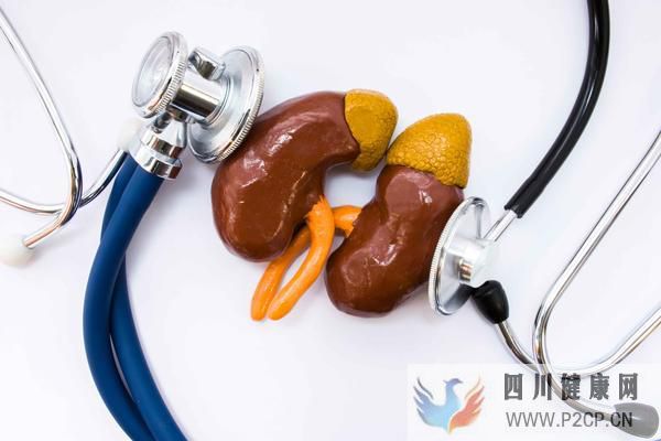 女子肾病治疗不规范肾衰,中西医治疗后稳定,如何发现早期肾衰?(图1) 女子肾病治疗不规范肾衰,中西医治疗后稳定,如何发现早期肾衰?(图1)